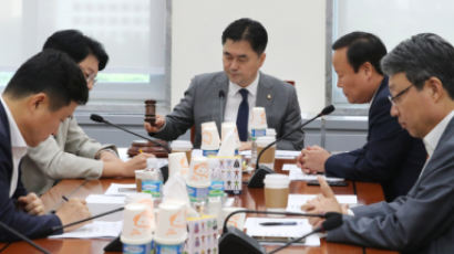 선거제, 안건조정위도 통과…한국당 “두 번의 날치기” 효력 정치 신청