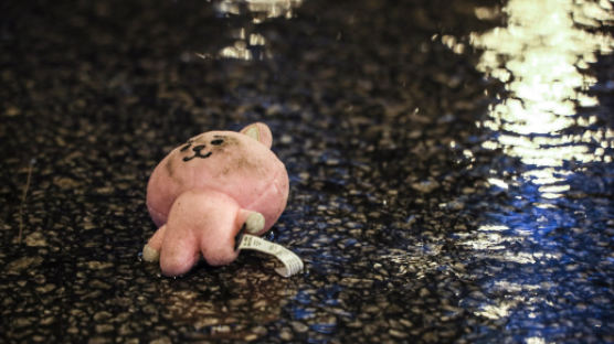 Pink Bunny Found In The Streets Of Hong Kong Protest