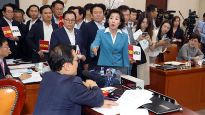 [속보] 국회 정개특위, 선거제 개정안 의결…한국당 “날치기”