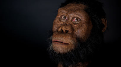 [사진] 380만년 전 ‘인류 조상’의 얼굴