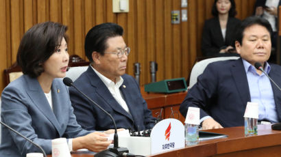 나경원 "재송부 기한이라도 넉넉히"… 청문회 개최 안간힘 쓰는 한국당