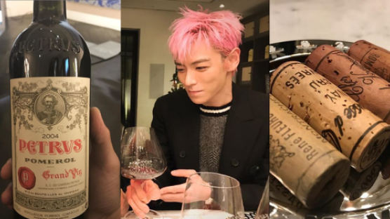 BIGBANG T.O.P. Shows Off His Vineyard In Argentina