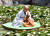 지난달 31일 전남 강진군 남미륵사에서 법흥스님이 빅토리아 연잎위에 앉아 법회를 하고 있다. [사진 남미륵사]