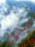 금강산의 가을 이름이 풍악(楓嶽)이다. 단풍 산이라는 뜻이다. 2004년 가을에 촬영한 외금강 채하봉의 단풍이다. [중앙포토]
