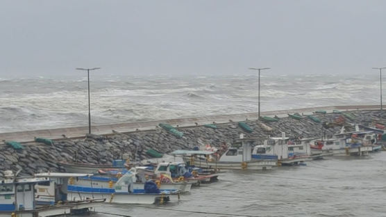 해상크레인 떠밀리고 가로수 쓰러져…태풍 ‘링링’ 강풍 피해 속출