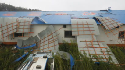 지붕 올랐다 강풍에 추락한 70대 사망···태풍 링링 피해 속출