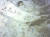  인도네시아 보르네오섬에서 발견된 &#39;사람을 묘사한 동굴벽화&#39;. 5만여 년 전 것으로 추정되며 동물과 사람 손바닥 등을 그렸다. [네이처·핀디 세티아완 제공, 연합뉴스]