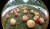 태풍 링링으로 수확을 앞둔 충남 예산군 오가면의 한 사과농장이 낙과로 큰 피해를 입었다. 프리랜서 김성태