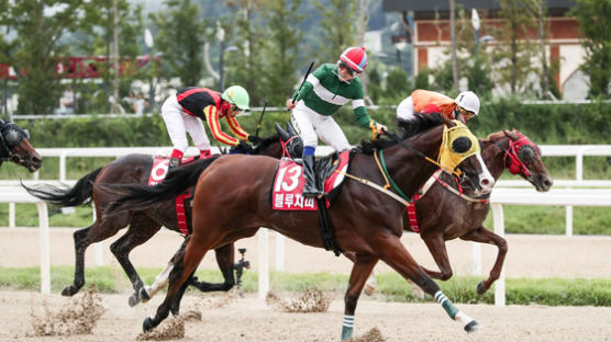 1초에 1000만원…경마 A매치서 한국말 연속 우승