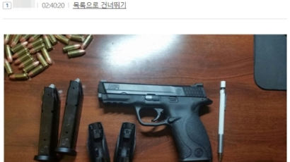 총기 사진 올리며 '文협박' 일베 회원, 인터폴 적색수배
