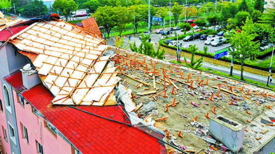 링링 역대 5번째 강풍…지붕 고치다 30m 날아가 참변