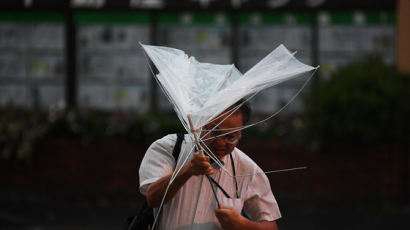 태풍 '파사이' 도쿄 집어삼켰다…강풍에 40대 여성도 날아가