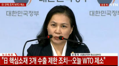 [속보] 정부 칼 뽑았다···WTO에 일본 수출규제 조치 제소