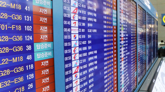 "기장이 여권 분실" 한국행 비행기 11시간 지연돼