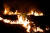 지난 9월 12일 브라질 아마존 유역의 열대우림에서 발생한 화재가 숲을 태우고 있다. [로이터=연합뉴스] 
