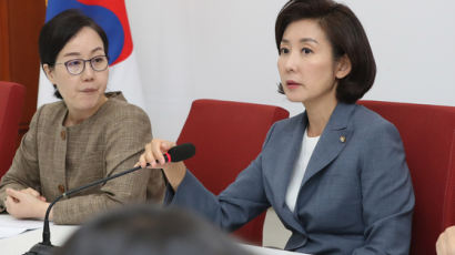 한국당, 나경원 자녀 관련 보도 기자 ‘명예훼손’ 혐의 고발
