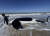 한 어린이가 16일(현지시간) 아르헨티나 마르치키타 인근 해변에 고립됐다 죽은 범고래 옆에 서 있다. [AP=연합뉴스]
