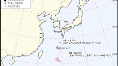 日오키나와 남쪽서 태풍 발생···"한국 빠르게 접근, 주말에 비" 