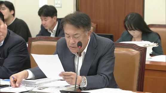 'F워드' 지라시까지 돌자…김현종, 강경화와 영어싸움 급휴전