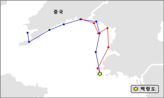 백령도에서 번식한 괭이갈매기 중국까지 날아간다 | 중앙일보