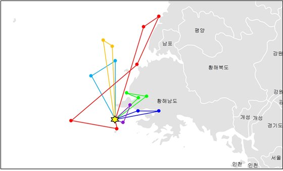 백령도에서 번식한 괭이갈매기 중국까지 날아간다 | 중앙일보