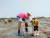 경기도 화성시 백미리 에서 관광객들이 조개를 캐 고 있다. [사진 백미리어촌계]
