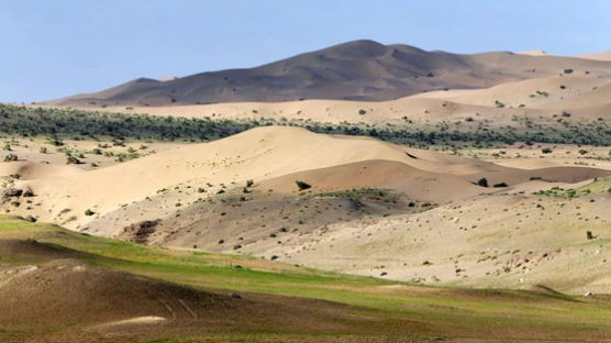 온난화가 바꾼 기막힌 풍경···중국 고비 사막에 풀이 자란다 