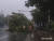 22일 오후 울산시 남구 야음장생포동 인근 도로에 가로수가 태풍 &#39;타파&#39;의 영향으로 쓰러져 있다. [뉴시스] 