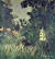 1909년 앙리 루소의 작품 &#39;열대우림&#39; Oil on canvas 1909 National Gallery of Art. [사진 Wikimedia Commons]