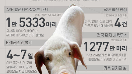 [데이터브루]숫자로 보는 오늘의 동물 '돼지'