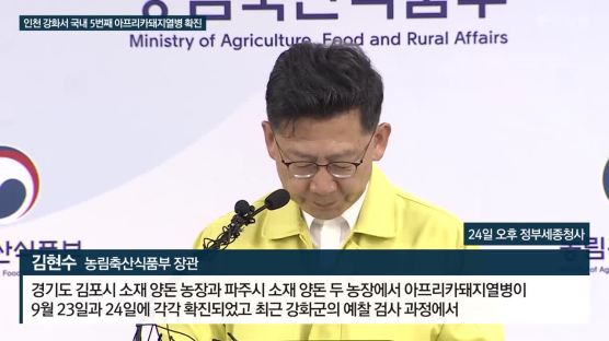 인천 강화 농장서도…아프리카돼지열병 의심 사례 발견