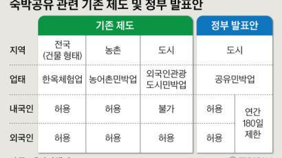 한국 정부 규제에 뿔난 에어비앤비 "현행 제도는 한국인 차별" 