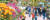 온천으로 유명한 대전 유성구가 국화전시회를 연다. 지난해 국화전시회장을 찾은 시민들이 다양한 종류의 꽃을 감상하고 있다. [사진 대전 유성구]