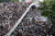 6월 12일 &#39;범죄인 인도 법안(송환법)&#39; 반대 시위를 벌이는 홍콩 시민들. [로이터=연합뉴스] 