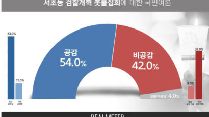‘검찰개혁 촛불집회’ 공감 54% vs 비공감 42% [리얼미터]