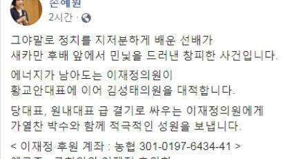 손혜원 "김성태, 정치를 지저분하게 배운 선배"