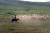 카라코룸의 푸른 대평원에서 양떼를 몰고 있는 몽골 유목민. [중앙포토]
