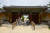  경기도 여주에 있는 천년고찰 신륵사는 체험형과 휴식형, 두 종류의 템플스테이 프로그램을 운영한다. [사진 경기관광공사]