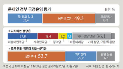 文대통령 지지율 32% 취임 후 최저…"조국 임명 잘못" 54%