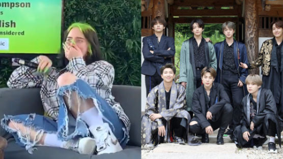 Billie Eilish Defends BTS After They Were Booed From The Crowd
