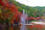 강원 태백시 철암초등학교 앞 단풍군락지 일원에 단풍이 붉게 물들고 있다. [태백시=뉴스1]