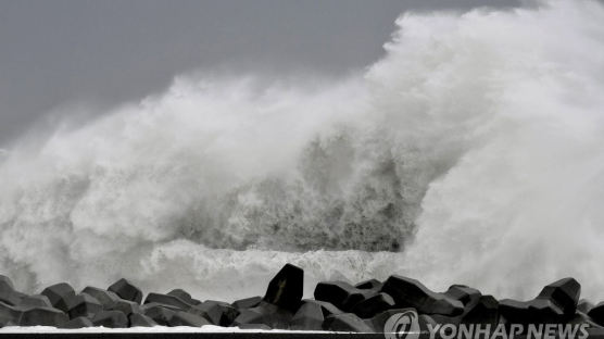 한국 초청 안한 日자위대 관함식 태풍 여파에 취소