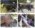 민통선 지역에서 발견된 야생 멧돼지 폐사체 [사진 환경부]