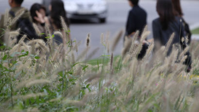 쌀쌀한 출근길, 수요일 아침 최저 5도···강원 산간엔 첫눈도