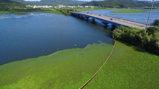 팔당호·소양호 등 주요 호수 수질 악화…28.6%가 '영양 과잉'