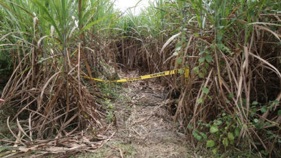 ‘필리핀 사탕수수밭 한인 살해’ 한국인 주범 또 도주