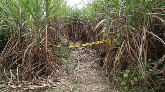 ‘필리핀 사탕수수밭 한인 살해’ 한국인 주범 또 도주