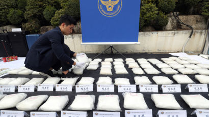 한국 여성, 일본에서 마약 밀수로 기소…"보석인 줄 알았다" 