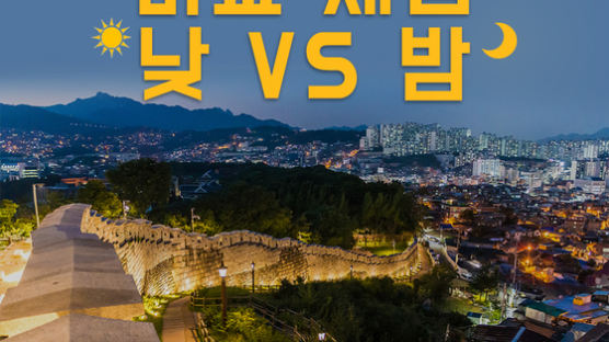 [카드뉴스] 가을이 좋은 서울 공원, 비교 체험 낮 vs 밤