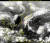 위성으로 본 태풍 너구리와 부알로이의 모습. [기상청]